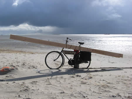 Texel  strandhout/ De Hors