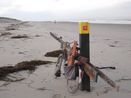 juthout -  strand texel