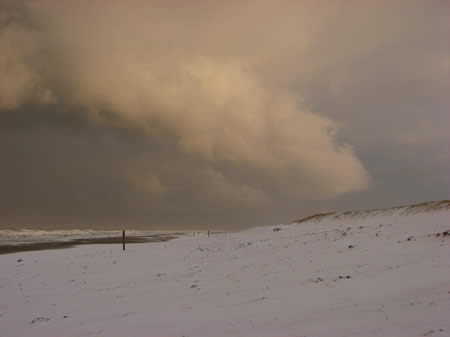 Texel  _  Westerslag