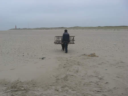 strandjutter Henk Brugge/ beachcomber/ Henk Brugge