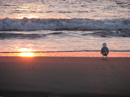zonsondergang