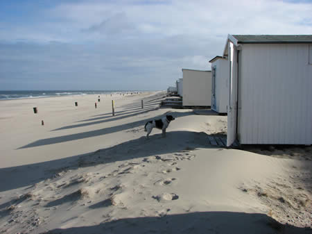 zomer op texel