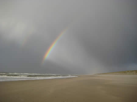 regenboog,  juthout