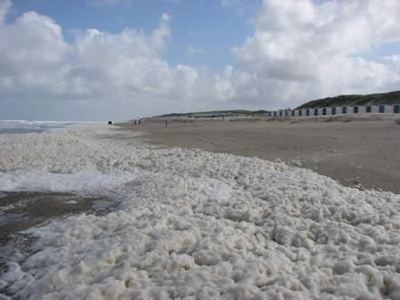 Westerslag Texel