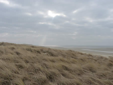 Duinen Texel
