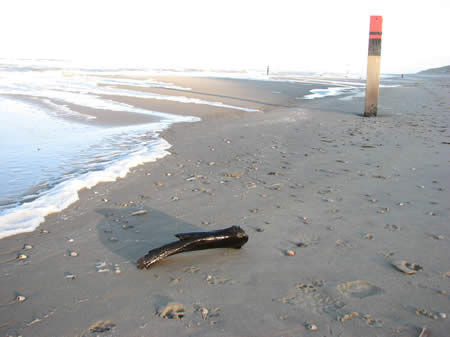 strandvondst