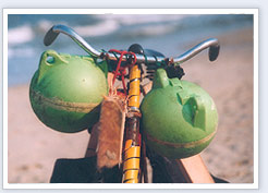 strandjutter